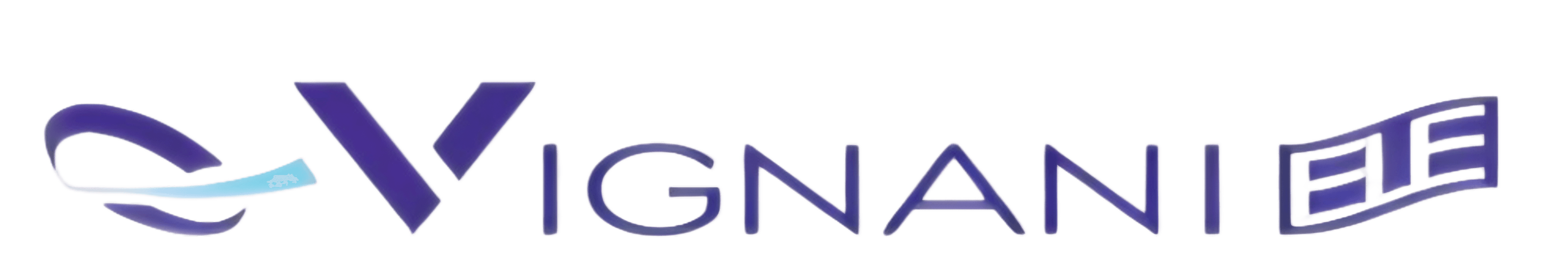 VignaniELE Logo